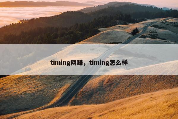 timing网赚，timing怎么样