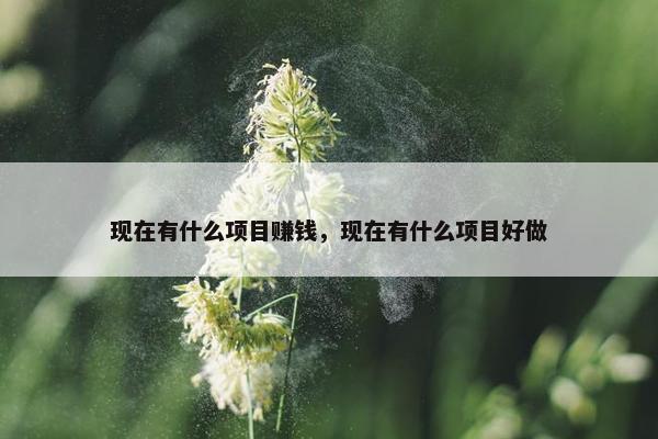 现在有什么项目赚钱，现在有什么项目好做