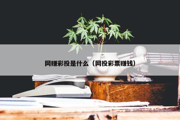 网赚彩投是什么（网投彩票赚钱）