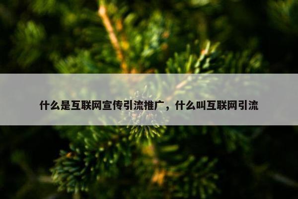 什么是互联网宣传引流推广，什么叫互联网引流