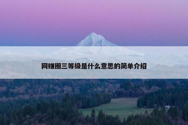 网赚圈三等级是什么意思的简单介绍