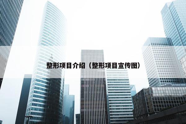 整形项目介绍（整形项目宣传图）