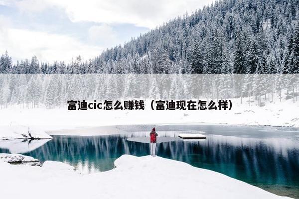 富迪cic怎么赚钱（富迪现在怎么样）