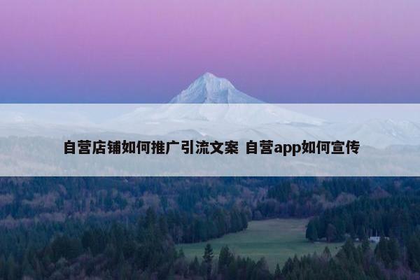 自营店铺如何推广引流文案 自营app如何宣传