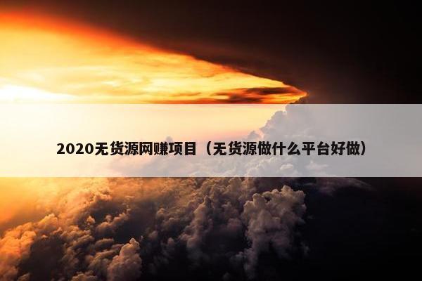 2020无货源网赚项目（无货源做什么平台好做）