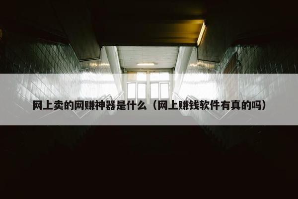 网上卖的网赚神器是什么（网上赚钱软件有真的吗）