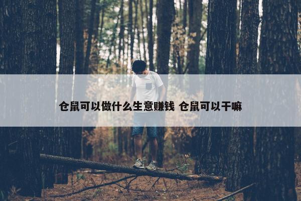 仓鼠可以做什么生意赚钱 仓鼠可以干嘛