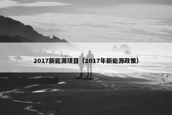 2017新能源项目（2017年新能源政策）