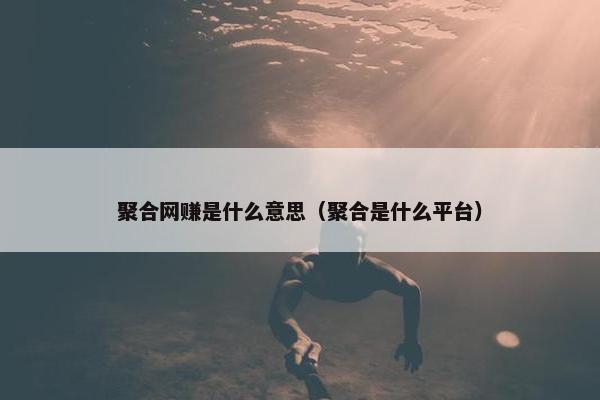 聚合网赚是什么意思（聚合是什么平台）