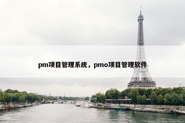 pm项目管理系统，pmo项目管理软件