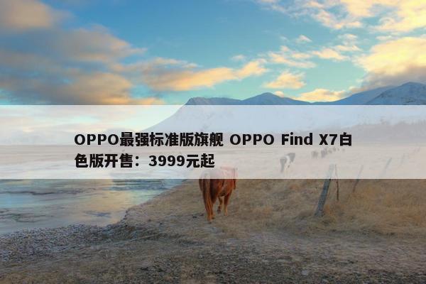 OPPO最强标准版旗舰 OPPO Find X7白色版开售：3999元起