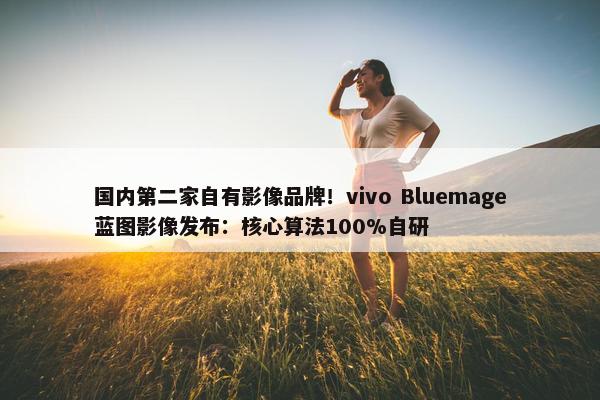 国内第二家自有影像品牌！vivo Bluemage蓝图影像发布：核心算法100%自研