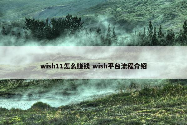wish11怎么赚钱 wish平台流程介绍