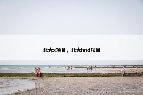 北大x项目，北大hnd项目