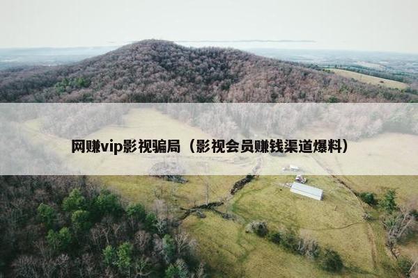 网赚vip影视骗局（影视会员赚钱渠道爆料）