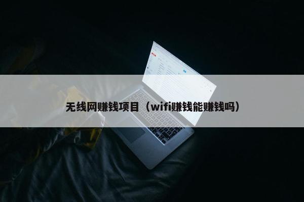 无线网赚钱项目（wifi赚钱能赚钱吗）