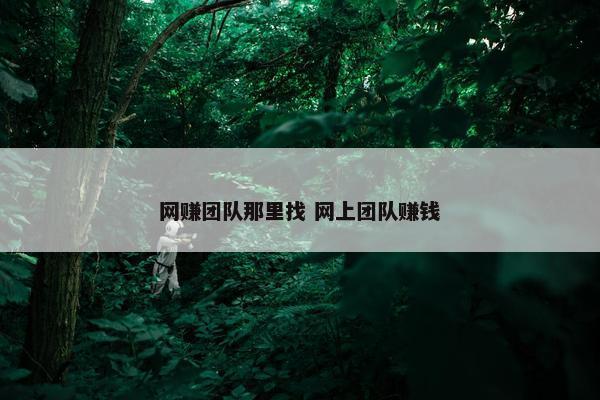 网赚团队那里找 网上团队赚钱