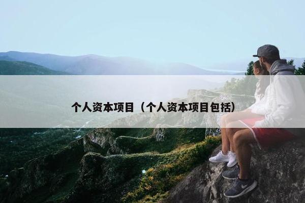 个人资本项目（个人资本项目包括）