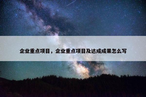 企业重点项目，企业重点项目及达成成果怎么写